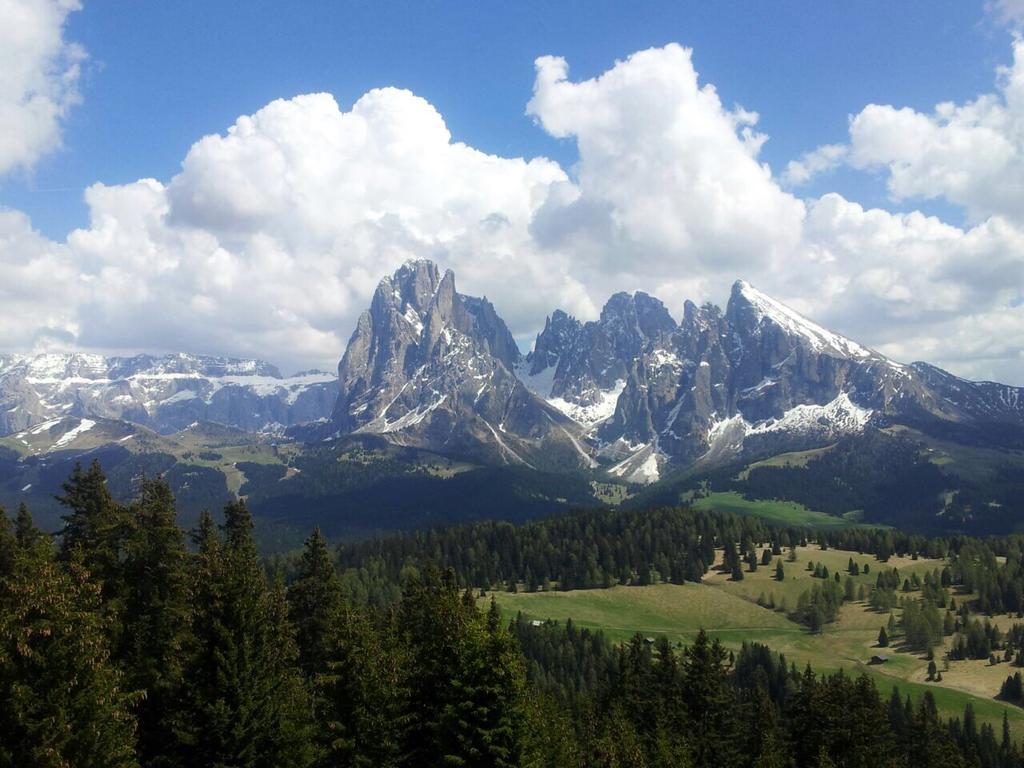 Garni Crepaz Bed & Breakfast Selva di Val Gardena Exterior photo